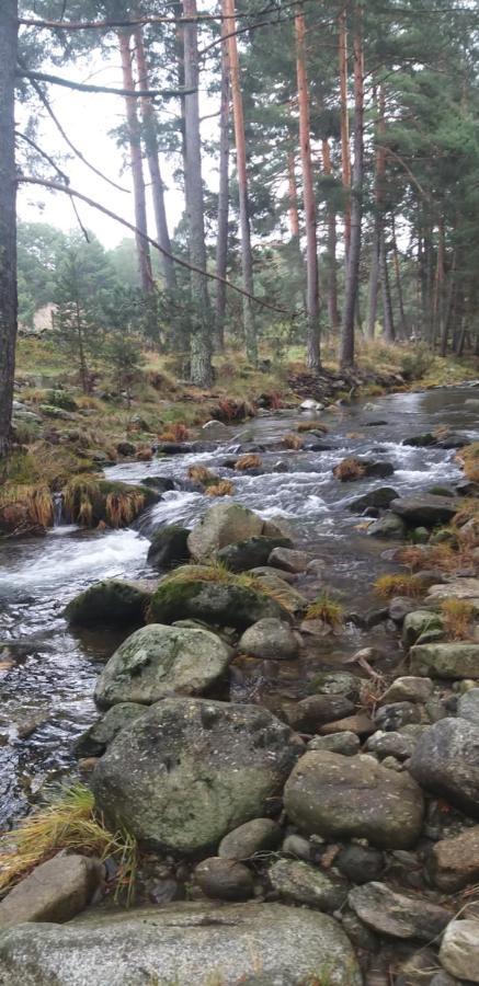 Casa Rural Los 7 Pinos De Gredos Navarredonda de Gredos Eksteriør billede